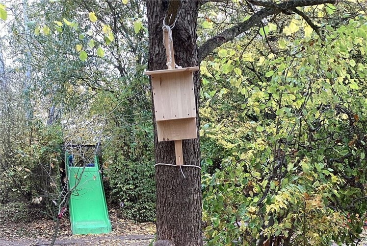 In Zusammenarbeit mit einem Kindergartenpapa entstand dann im Herbst ein schönes Zuhause für die Fledermäuse. Foto: Kita „Don Bosco“