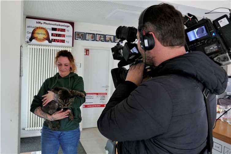 In dem geplanten Filmbeitrag sollen Tiere vorgestellt, deren Vermittlung dem Tierheim besonders am Herzen liegt. Fotos: privat