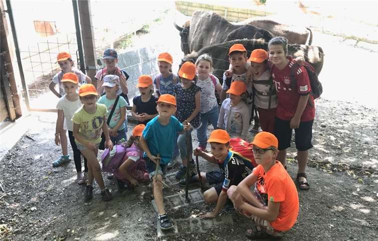 In dem weitläufigen Freigehege konnten die Kinder Damwild in (fast) freier Wildbahn beobachten.Foto: privat