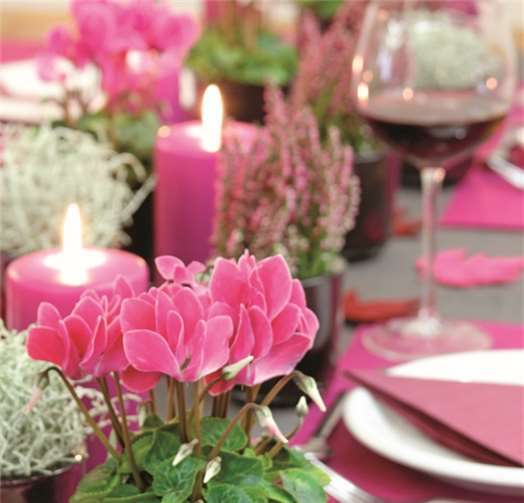 Herbstzeit ist Pflanz- und Dekozeit