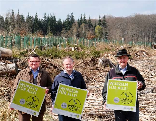 In den Forstrevieren HWG-Wald und Rodenbach wurden bereits 30.000 Bäume gepflanzt. (V.l.) Stefan Herschbach, Jan Einig und Uwe Hoffmann visieren an, dass 70.000 Bäume deutlich übertroffen werden. Foto: Stadtwerke Neuwied