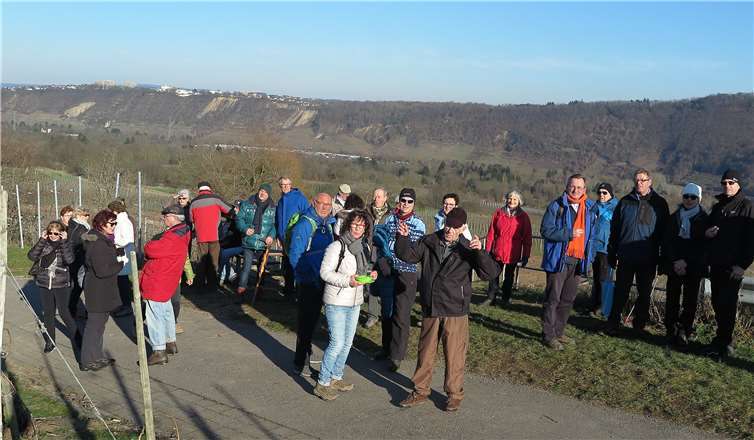 In den Weinbergen von Winningen der Sonne entgegen.privat