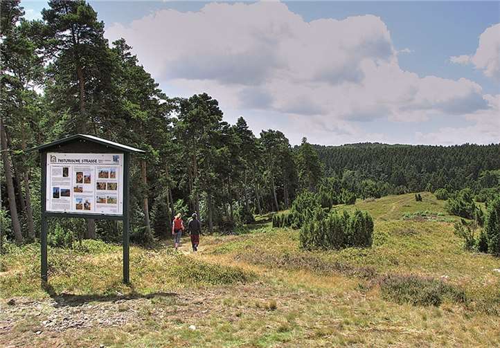 In den frühen Morgenstunden wird zum Aussichtsturm Weiselstein gewandert. privat