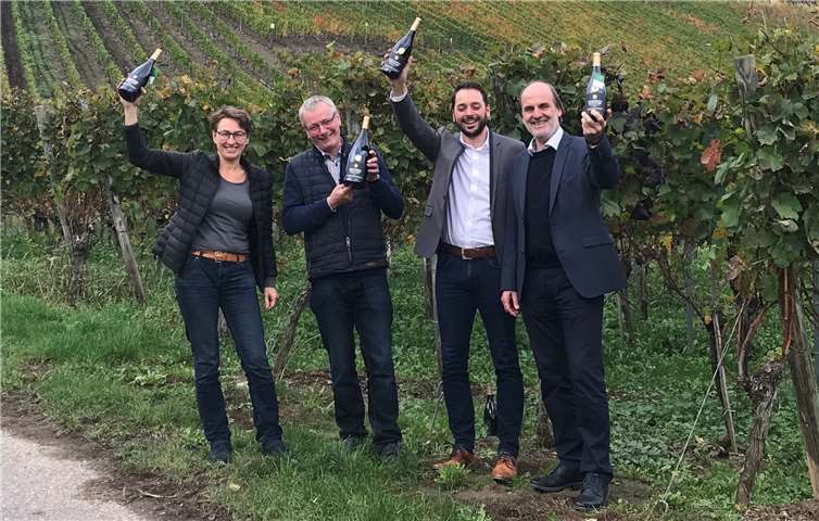 In den letzten Wochen gab es gleich mehrfach Grund zu großer Freude bei der WG Mayschoß-Altenahr. Aus zwei sehr renommierten Wettbewerben konnte man als Sieger mit seinen Weinen hervorgehen und die Ernte 2019 konnte erfolgreich abgeschlossen werden. Foto: WG Mayschoß-Altenahr