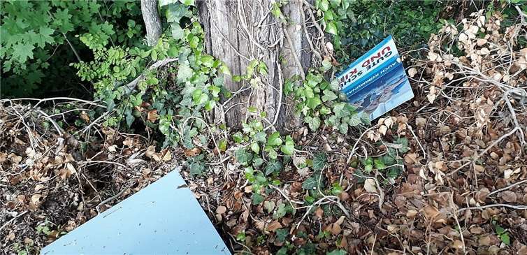 In den vergangenen zwei Wochen wurden Plakate zerstört.Foto: privat