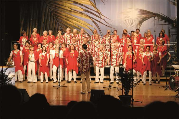 In der ChorFILMshow 2014 werden Stücke aus großer Kinogeschichte zum hören sein. privat
