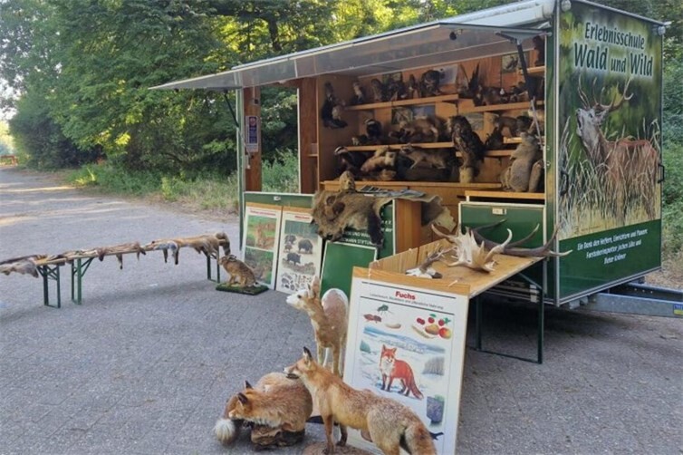 In der Erlebnissschule Wald und Wild Landesforsten RLP gab es u.a. rund 70 Tierpräparate zu bestaunen und zu bestimmen.