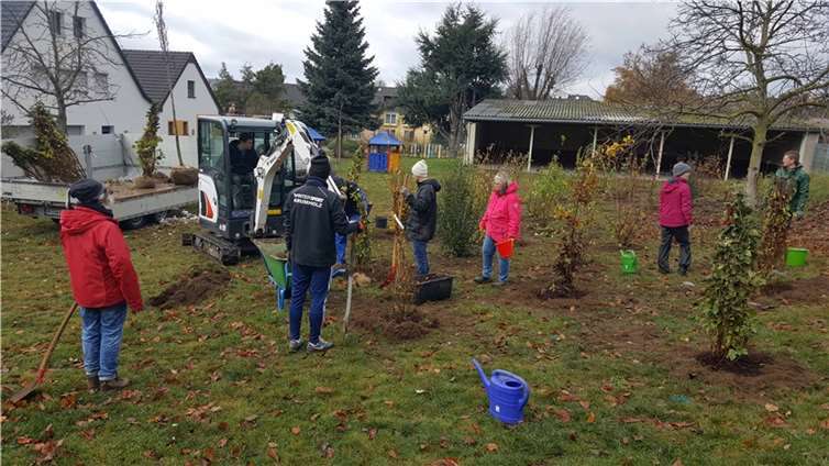 In der Katholischen Kindertagesstätte St. Martin in Ochtendung haben Erzieher, Eltern und Projektbeteiligte rund 40 Bäume und Sträucher gepflanzt.  Foto: Kreisverwaltung/L.Jaeger