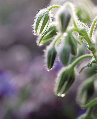 In der Kunstbackstube findet die Sommerausstellung statt.privat