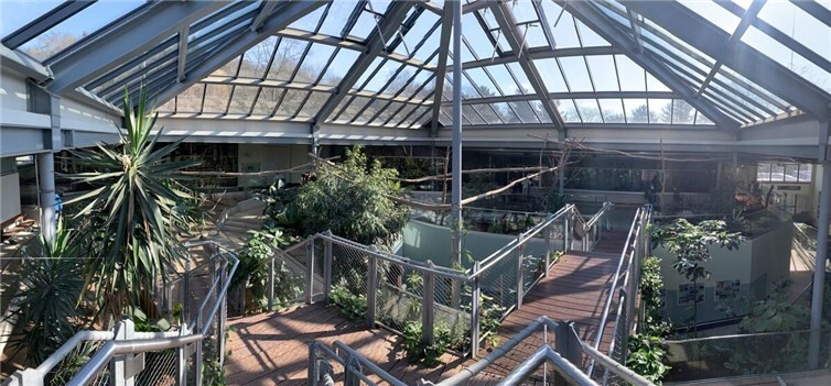 Zoo Neuwied: Südamerika-Feeling im herbstlichen Grau  In der Prinz Maximilian zu Wied-Halle finden rund 20 Tierarten aus Südamerika ganzjährig Bedingungen vor, bei denen sie sich wohlfühlen.Foto: Elke Doebbeler