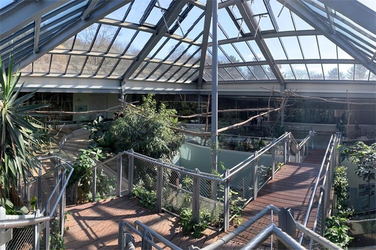 In der Prinz Maximilian zu Wied Halle im Zoo Neuwied leben rund 20 verschiedene Tierarten aus Südamerika.