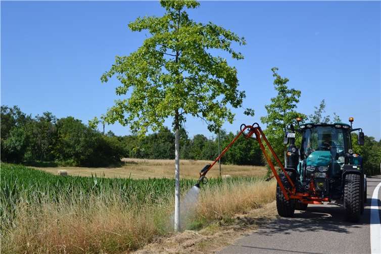 In der Regel werden Jungbäume im Koblenzer Stadtgebiet nur die ersten drei Jahre gegossen. Nach einer Entwöhnung sollen sie auch bei heißen Sommertemperaturen alleine zurechtkommen.  Foto: Stadt Koblenz/Groß