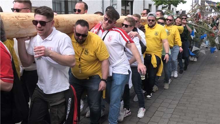 Traditions-Pflege ist das Erfolgsrezept der „Örmser“ Kirmes In der Rheingemeinde Urmitz wird der Kirmesbaum traditionell von kräftigen Männern durch den Ort getragen, ehe er am Festplatz aufgestellt wird. Fotos: KH