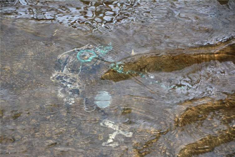 In der Swist hatten die Tatverdächtigen zahlreiche Wertsachen versenkt.