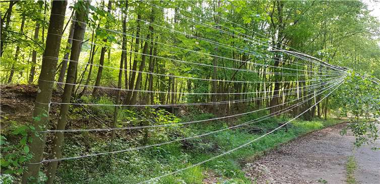 In der Umgebung des b-05 entstand eine Ausstellung von sechs verschiedenen Künstlern, die noch immer im Wachsen begriffen ist. Fotos: Simone Levy