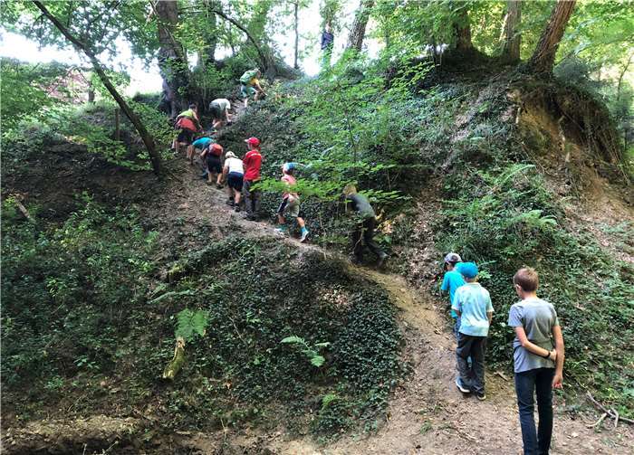 In der Verschönerung werden die Kinder Natur und Wald erleben. Foto: Familienbildungsstätte Linz