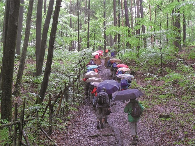 In der Wanderwoche des Eifelvereins Ahrweiler herrschte ideales Wanderwetter, bis auf wenige Ausnahmen, wie hier gut zu sehen ist.privat