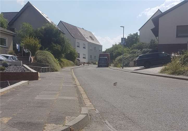 In der Weidenstraße sollen Piktogramme auf das Tempolimit aufmerksam machen. Foto: privat