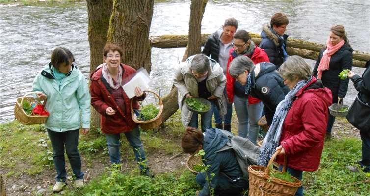 In der freien Natur erfuhren die kfd-Frauen viel Interessantes über Kräuter und deren Wirkung. privat
