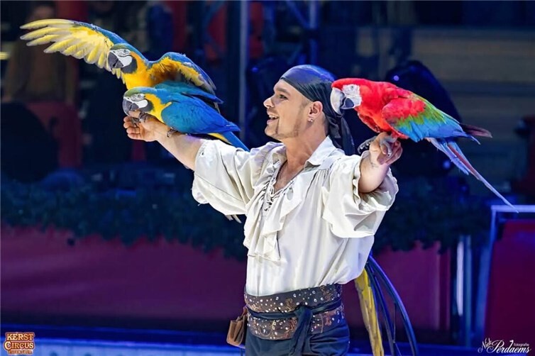 In der vierten Auflage dieses beliebten Events öffnet sich die festlich geschmückte Manege, um ein einzigartiges Weihnachtserlebnis zu bieten. Foto: Sun Vista