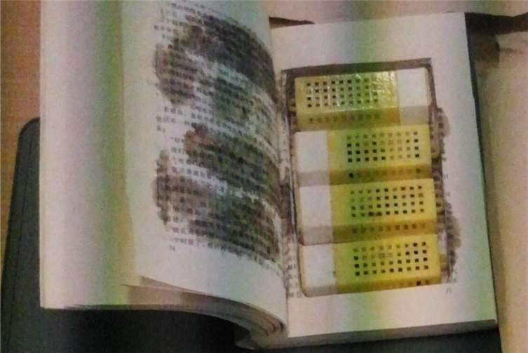 In diesem Buch waren die Bienen in vier Behältnissen versteckt. Foto: Hauptzollamt Koblenz