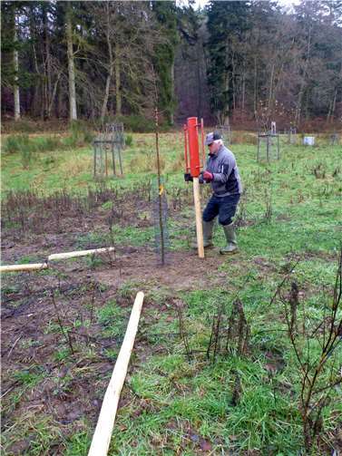 In diesem Jahr pflanzte der Verein vier weitere Obstbäume.  Foto: Winfried Sander, Leimbach