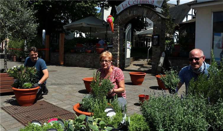 In diesem Jahr sind duftende Kräuter von Gewerbeverein und Quartiersmanagement in Höhr verteilt worden. Foto:Quartiersmanagement Höhr