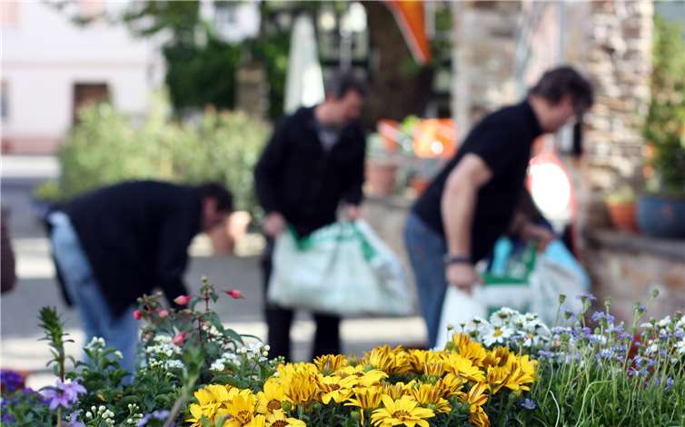 In diesem Jahr werden besonders Kräuter die Innenstadt Höhr-Grenzhausens in ihren Duft hüllen. Foto: Quartiersmanagement Höhr