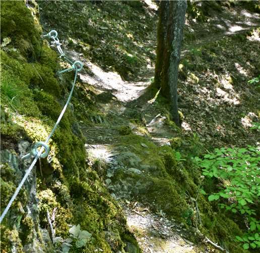 In dieser Felswand in der Caaner Schweiz sorgt ein Halteseil für Sicherheit.