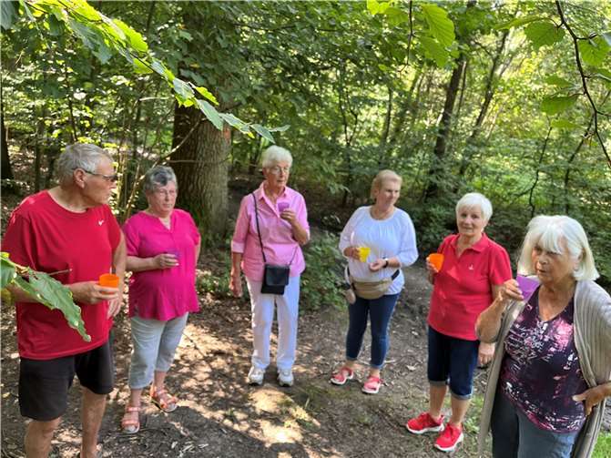 In diesmal kleiner Teilnehmerzahl spazierten diese bei warmen, aber angenehmen Witterungsbedingungen, sehr gerne in Richtung Wald. Foto: privat