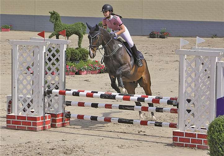 In drei Prüfungen konnte sich die in Meckenheim wohnhafte und in Wachtberg-Arzdorf reitende Carina Apfelbaum hervorragend platzieren und am Samstag eine Springprüfung, nach spannendem Stechen, für sich entscheiden. privat