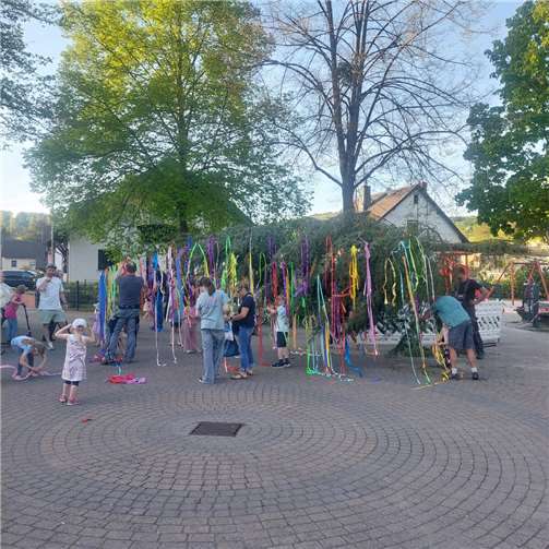 In einem gemeinsamen Kraftakt wurde der Maibaum aufgestellt. Fotos: privat