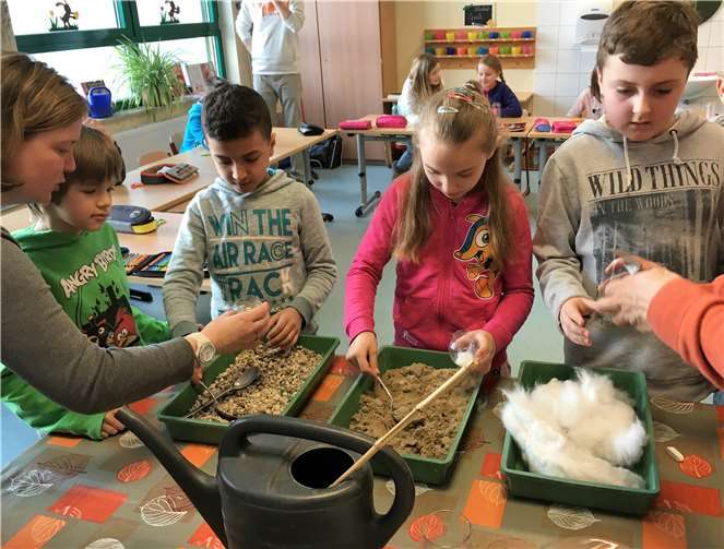 In einer einfachen Kunststoffflasche bauten die Kinder der Märkenwaldschule eine Mini-Filteranlage.privat