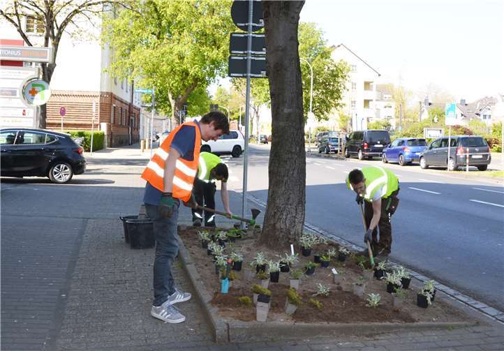 In einer gemeinsamen Pflanzaktion von Anwohnern und Stadtgärtnern wurden elf Baumbeete im Brenderweg in Lützel bepflanzt.Foto: Stadt Koblenz