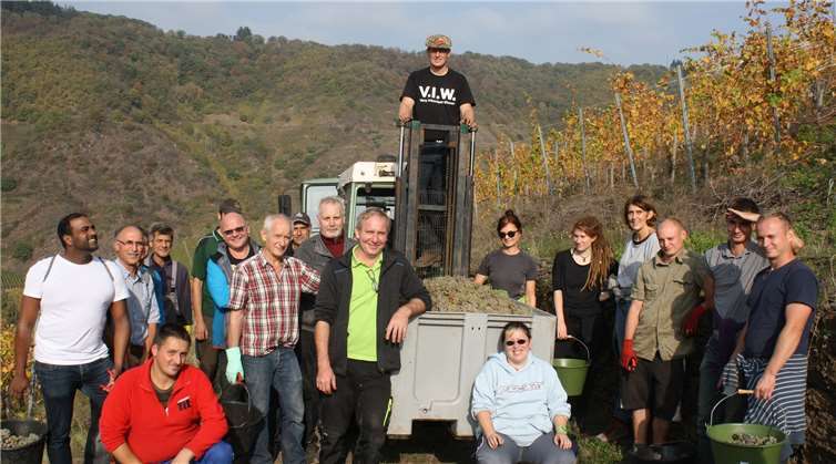 In einer konzertierten Aktion mit dem Weingut Göbel-Schleyerwurden die Trauben vom Kloster Ebernach gerettet. Fotos: -TE-