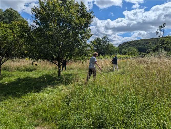 In einigen Gebieten in der Eifel waren die Sense länger in Gebrauch als anderswo.  Foto:privat