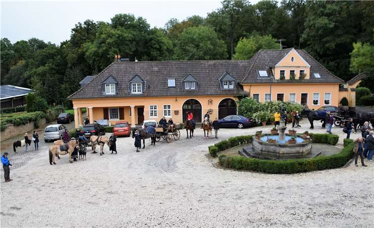 In großer Runde waren die Tiere auf Gut Waldau aufgestellt. Fotos: privat