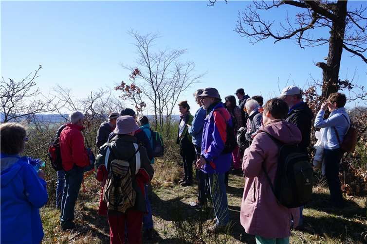 In knapp vier Stunden ging es vom Stadtzentrum über die Apollinariskirche hoch auf Kirres und weiter bis zum höchsten Punkt der Wanderung, den auf 280 Metern Höhe gelegenen Scheidskopf. Foto: Stadt Remagen - Tourismus und Kultur