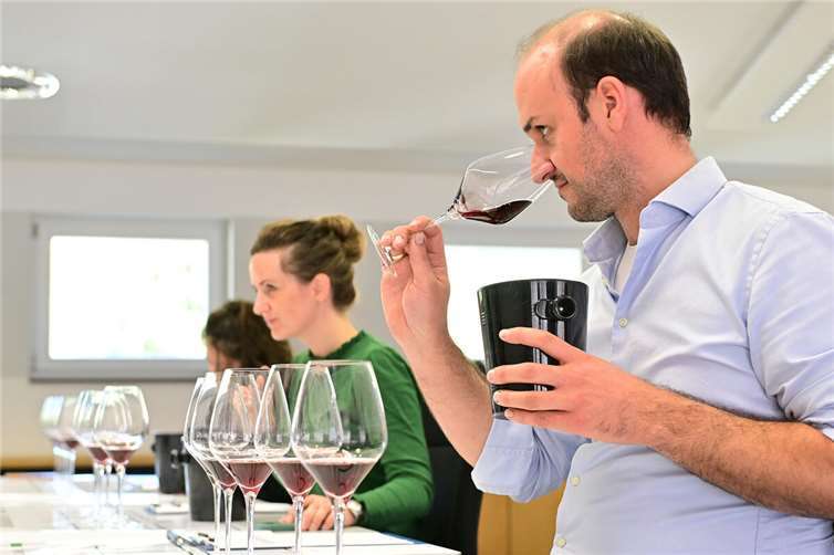 144 Weine sind im Rennen um den Titel „Ahrwein des Jahres“ In sechs Kategorien verkostete ein hochkarätiges Juryteam die Weine in einer verdeckten Blindverkostung.  Foto: Martin Gausmann