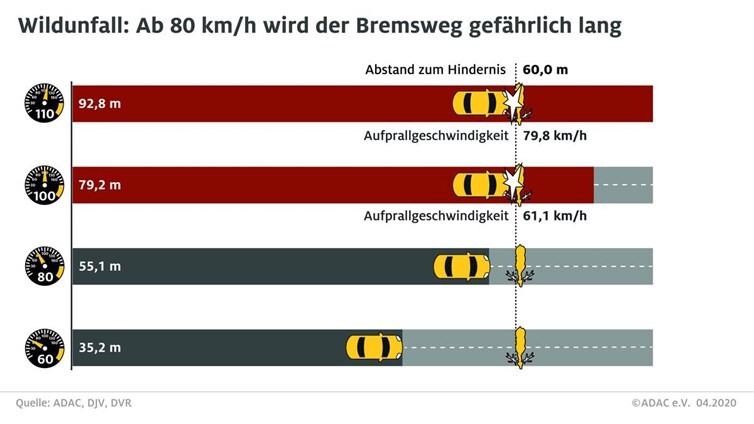 Infografik Wildunfälle