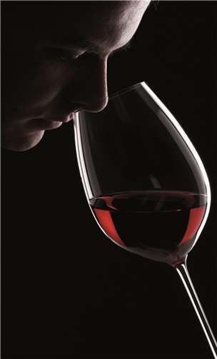 Informationen rund um das Thema Wein gibt es beim Weinseminar.  Privat