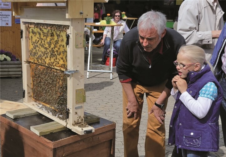 Informationen rund um die Bienen lockten Alt und Jung.