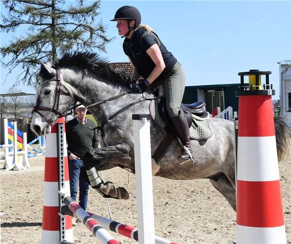 Ingo Butter sah genau hin bei seinem Lehrgang auf dem Turnierplatz des Reitvereins Dierdorf.Foto: Holger Kern