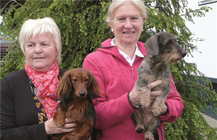 Ingrid Hammes und Ursula Puff mit ihren Siegerhunden.privat