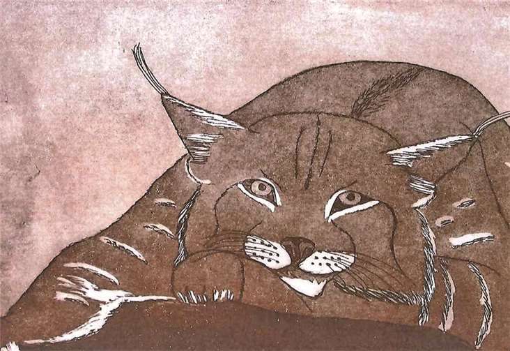 Ingrid von Zeddelmann – Radierung „Katze“.privat