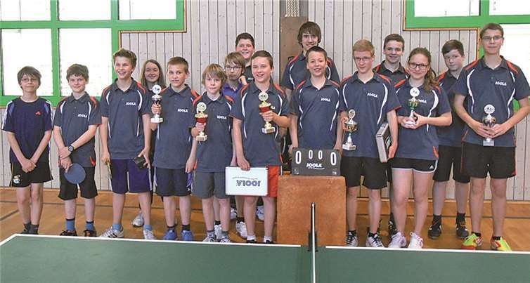 Insgesamt 15 Tischtennisspieler traten in den Klassen Schüler und Jugend an. Für die drei Erstplatzierten gab es jeweils Pokale. privat