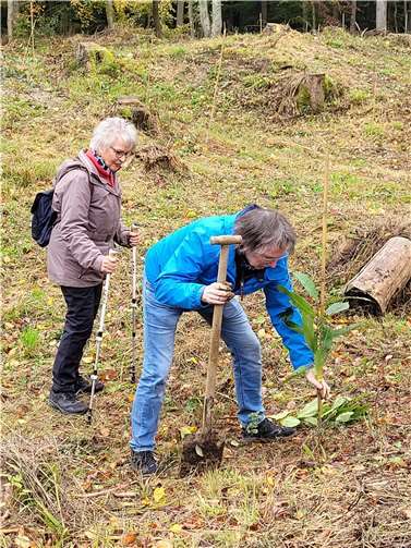 Insgesamt 150 Bäume wurden gepflanzt.