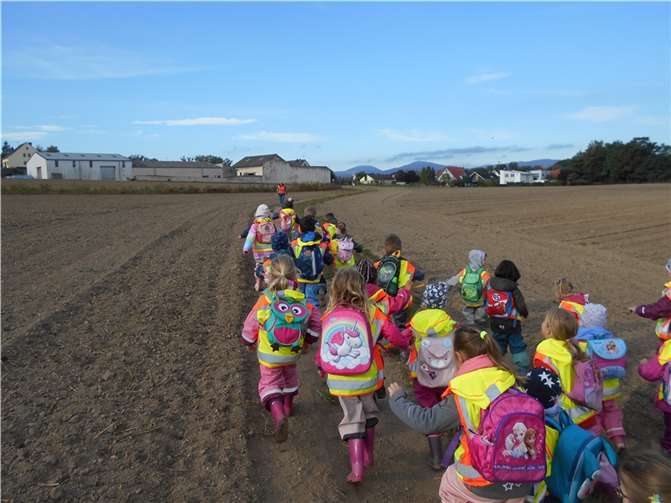 Insgesamt 28 Ü3-Kinder erkundeten die Natur rund um ihre Kita.Foto: privat