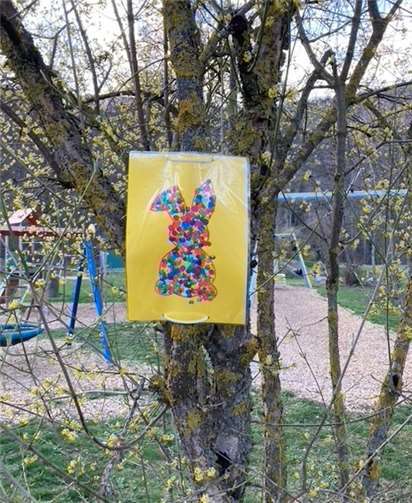 Insgesamt 39 Hasen konnten bei der Hasensuche gezählt werden. Foto: privat