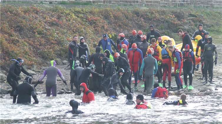 Insgesamt 44 Schwimmer wagten sich in die eisige Strömung. Fotos: DLRG Bezirk Westerwald-Taunus e. V.